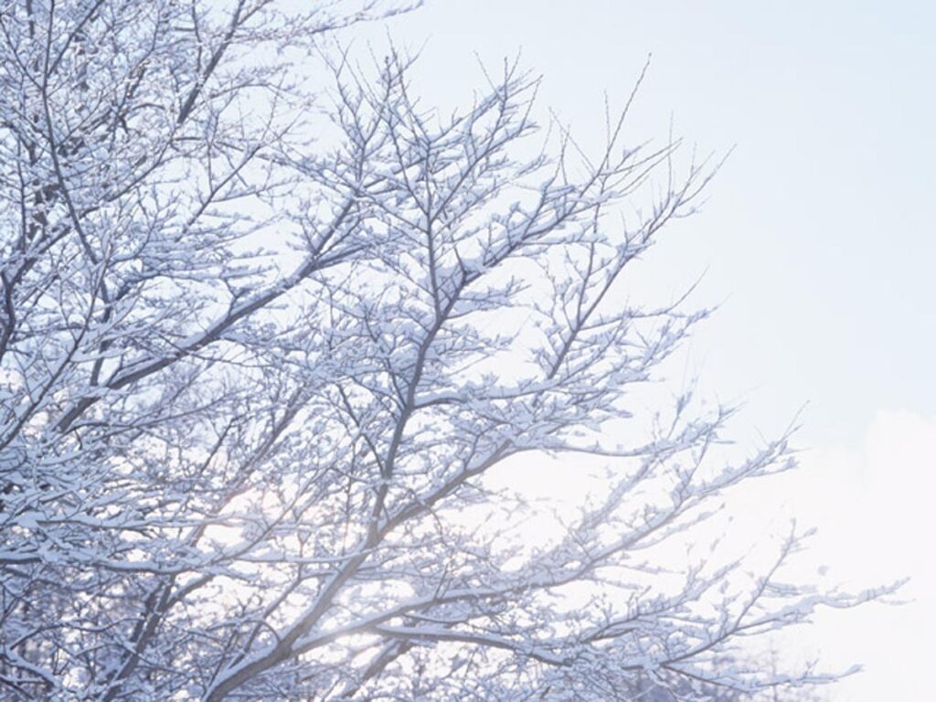 年末のご挨拶